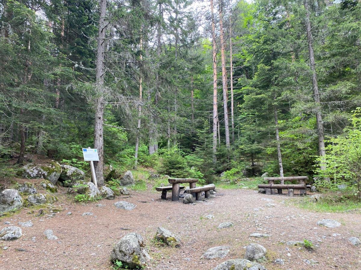 Luxury Private Studio In Green Life Bansko Zewnętrze zdjęcie