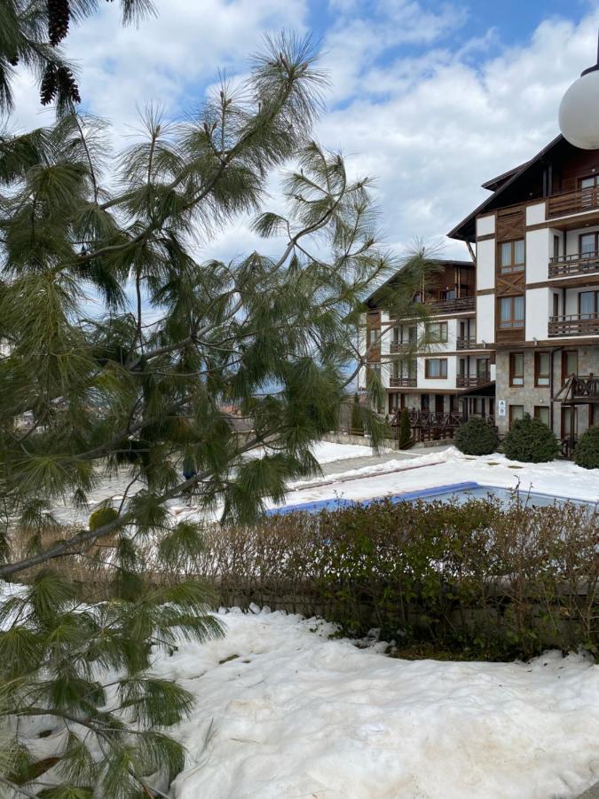 Luxury Private Studio In Green Life Bansko Zewnętrze zdjęcie