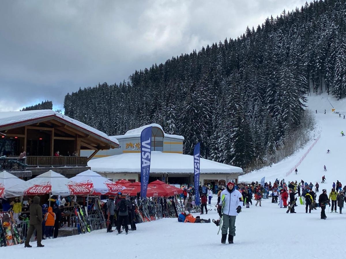 Luxury Private Studio In Green Life Bansko Zewnętrze zdjęcie