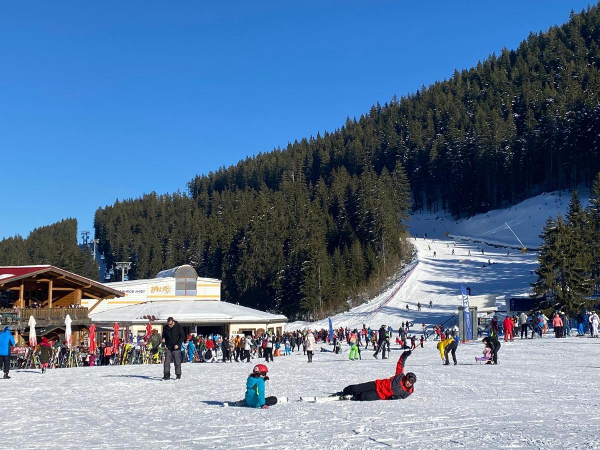 Luxury Private Studio In Green Life Bansko Zewnętrze zdjęcie